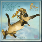 Chalendrier 2025, Calendrier des chats olympiens de Séverine Pineaux, éditions Au Bord des Continents