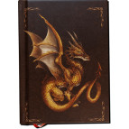 Dragon d'or, Carnet notebook chat de Séverine Pineaux, éditions Au Bord des Continents